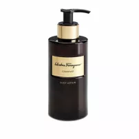 Salvatore Ferragamo Convivio ������ ��� ����