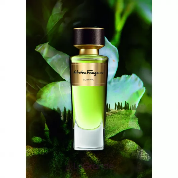 Salvatore Ferragamo Convivio ������ ��� ����