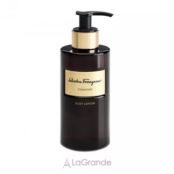 Salvatore Ferragamo Convivio ������ ��� ����