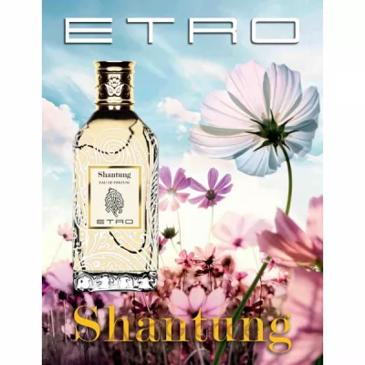 Etro Shantung   ()