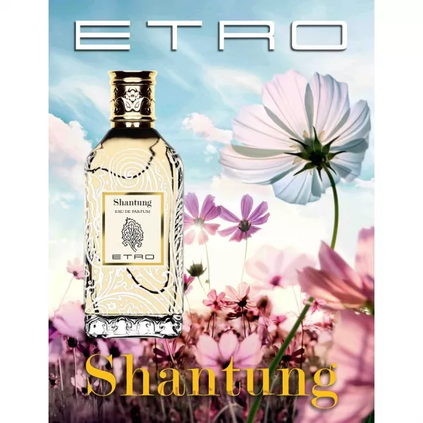Etro Shantung ����������� ���� (������)