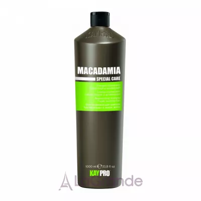 KayPro Special Care Macadamia Regenerating Shampoo ,  ,   쳿
