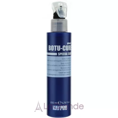 KayPro Special Care Boto-Cure Spray    