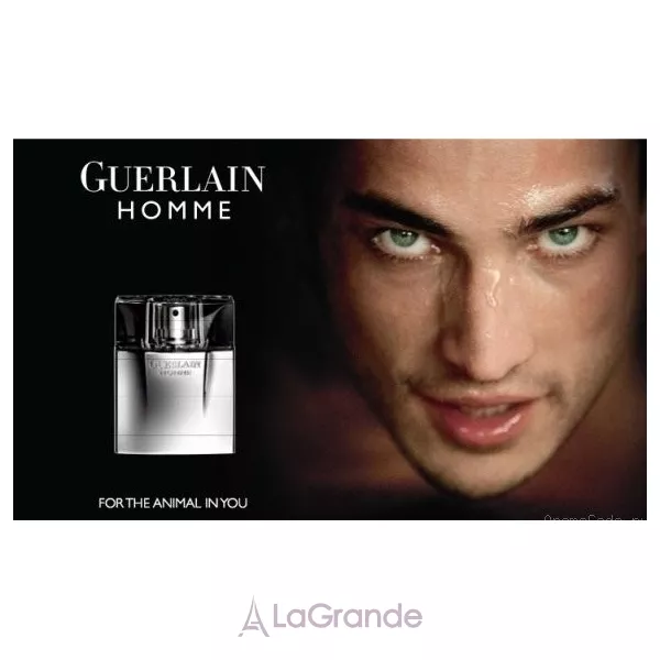 Guerlain Homme �������� ����