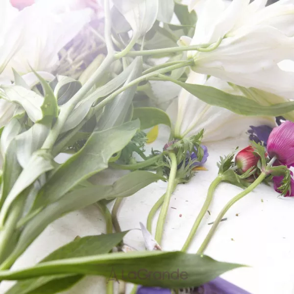 Maison Martin Margiela Replica Flower Market ��������� ���� (������)