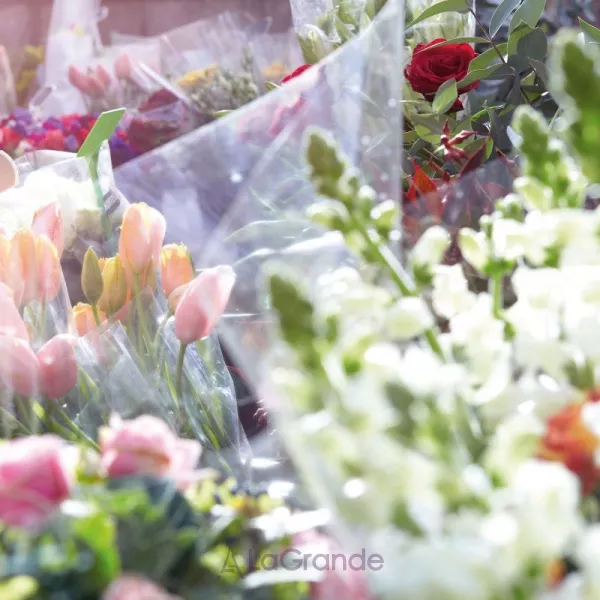 Maison Martin Margiela Replica Flower Market ��������� ���� (������)
