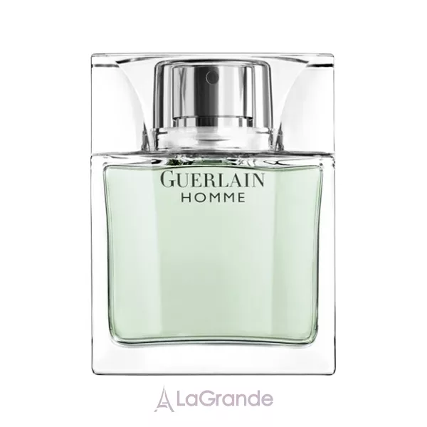 Guerlain Homme ��������� ���� (������)