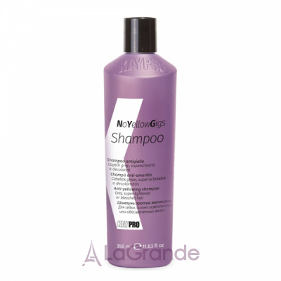 KayPro NoYellowGigs Anti-Yellowing Shampoo   