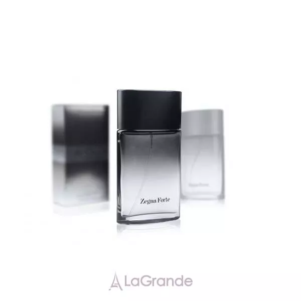 Ermenegildo Zegna Zegna Forte ��������� ����