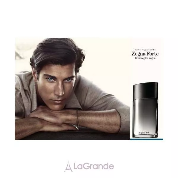 Ermenegildo Zegna Zegna Forte ��������� ����