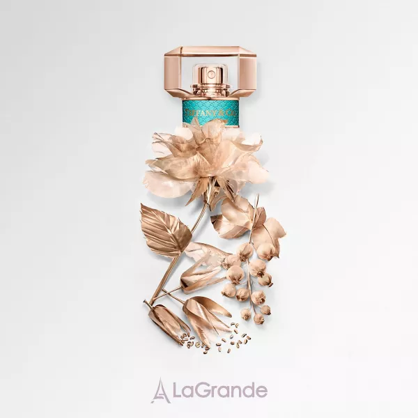 Tiffany Tiffany & Co Rose Gold ����������� ����