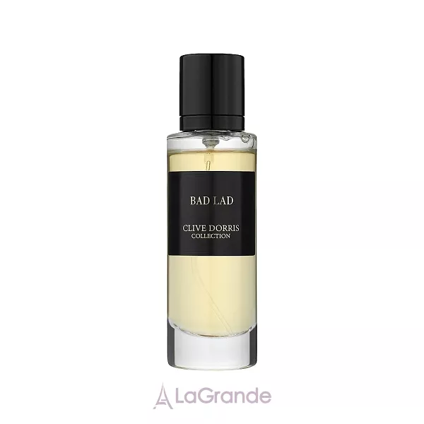 Fragrance World  Bad Lad ��������������� ���� (������)