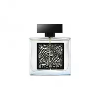 Fragrance World  Encrypt ��������������� ���� (������)