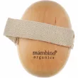 Mambino Organics Cellulite Massager Brush    