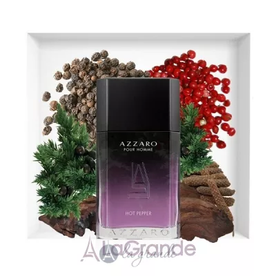 Azzaro Pour Homme Hot Pepper   ()
