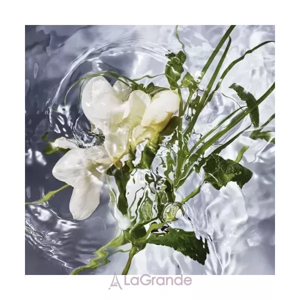 Guerlain Aqua Allegoria Herba Fresca ��������� ���� (������)