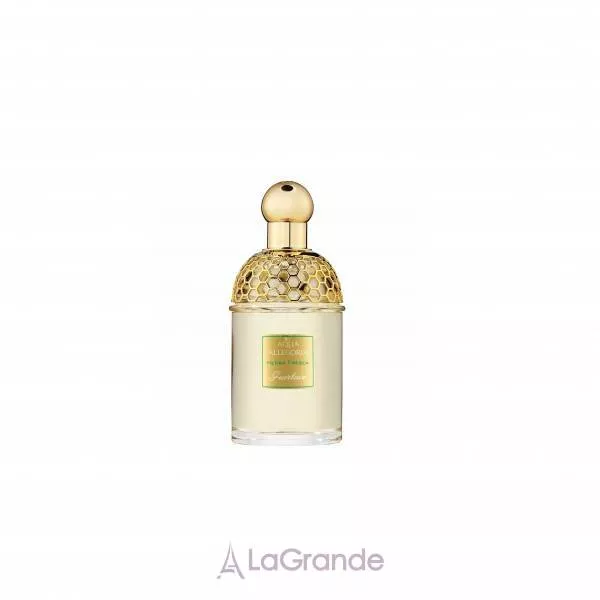 Guerlain Aqua Allegoria Herba Fresca ��������� ���� (������)