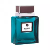 Flavia Pegasus Pour Homme ��������������� ���� (������)