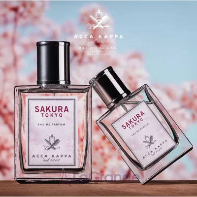 Acca Kappa  Sakura Tokyo   ()