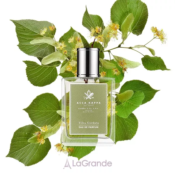 Acca Kappa Tilia Cordata ����������� ���� (������)
