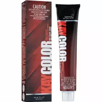 KayPro KayColor ����-������ ��� �����
