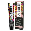 KayPro Kay Direct Intense Direct Color ������� ������