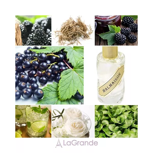 12 Parfumeurs Francais  Malmaison ����������� ����