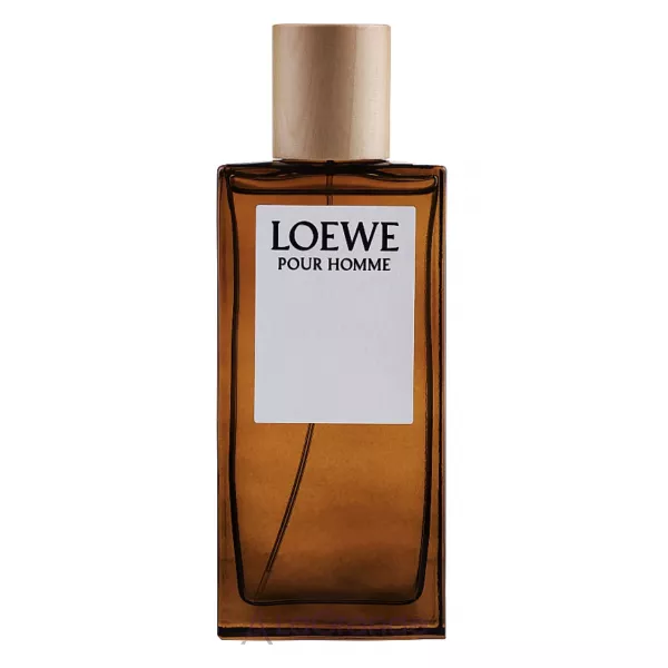 Loewe Pour Homme �������� ����