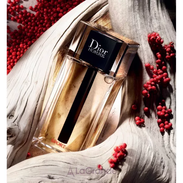 Christian Dior Dior Homme Sport 2021 �������� ����