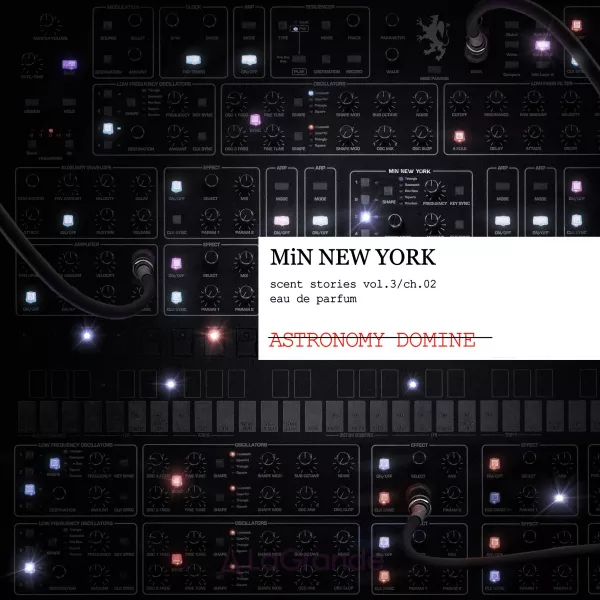 MiN New York Astronomy Domine ����������� ����