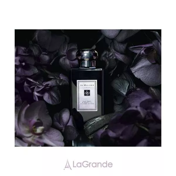 Jo Malone Dark Amber and Ginger Lily Cologne Intense ��������