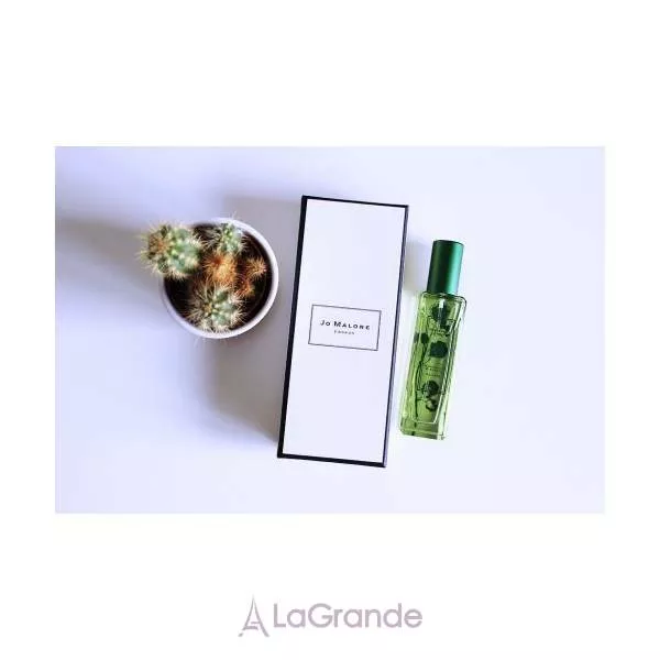 Jo Malone Nasturtium & Clover ��������