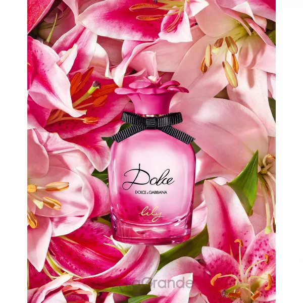Dolce & Gabbana Dolce Lily �������� ����