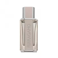 Salvatore Ferragamo Ferragamo Bright Leather �������� ���� (������)