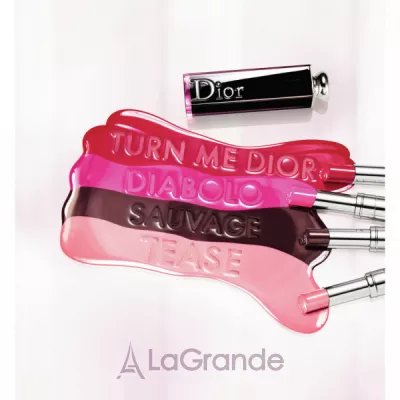Christian Dior Addict Lacquer Stick -  