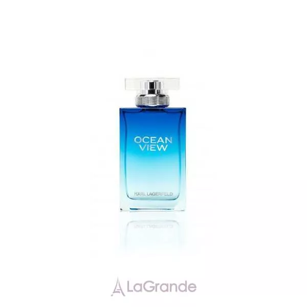 Karl Lagerfeld Ocean View For Men ��������� ���� (������)