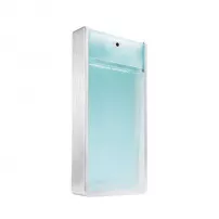 Porsche Design The Essence Summer Ice ��������� ���� (������)