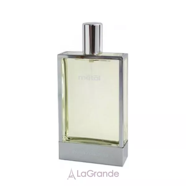 Paco Rabanne Metal �������� ���� (������)