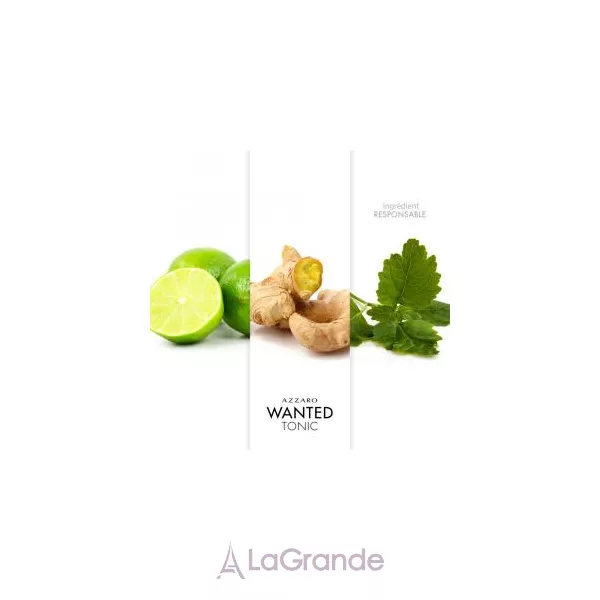 Azzaro Wanted Tonic ����� ( ��������� ���� 100 �� + ��������� 6 �� + ���� ��� ���� 100 �� )