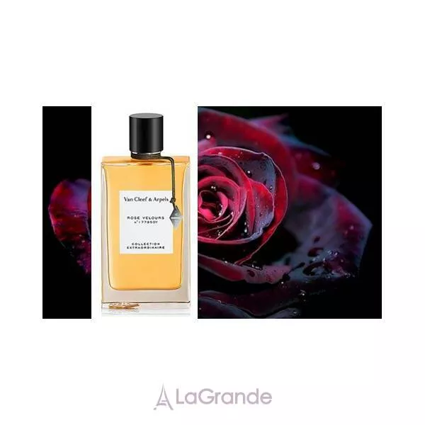 Van Cleef & Arpels Collection Extraordinaire Rose Velours ��������������� ���� (������)