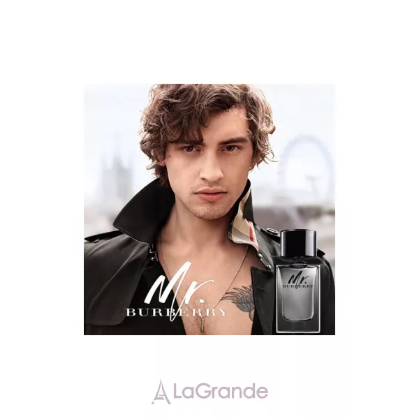 Burberry Mr. Burberry ���� (����������� ���� 5 �� 2 �������� + �������� ���� 5 �� 2 ��������)