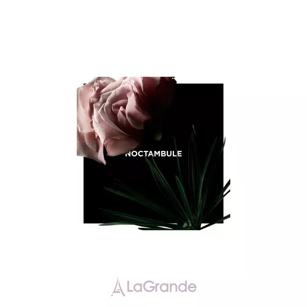 Givenchy Noctambule ��������������� ����