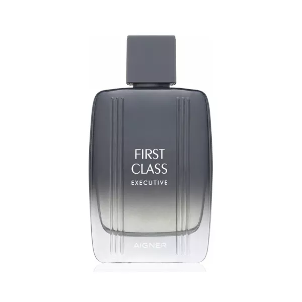 Aigner  First Class Executive ��������� ���� (������)