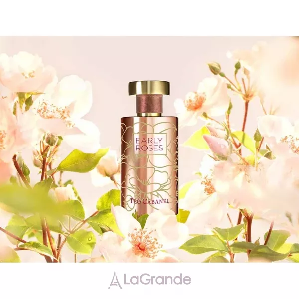 Teo Cabanel Early Roses ��������������� ����