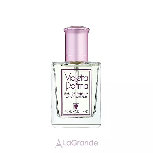 Borsari Violetta di Parma ��������������� ���� (������)