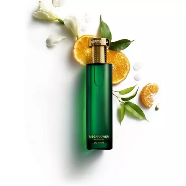 Hermetica  Megaflower ��������������� ����