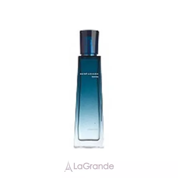 Rene Lezard Collection Limitee Eau Legere pour Homme ��������� ���� (������)