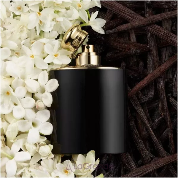 Ralph Lauren  Woman by Ralph Lauren Intense ��������������� ���� (������)