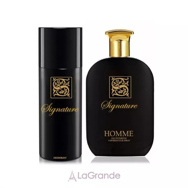 Signature Homme Black ���� (����������� ���� 100 �� + ���������� 200 ��)