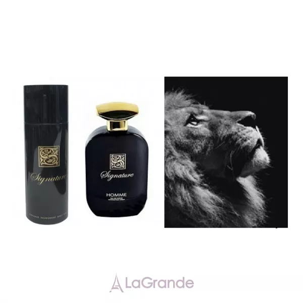Signature Homme Black ���� (����������� ���� 100 �� + ���������� 200 ��)